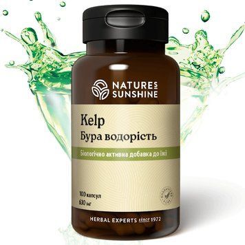 Бура водорість НСП (Kelp) NSP Біологічно Активна Добавка 1667159387 фото