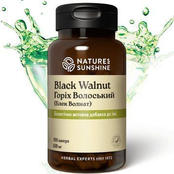 Чорний Горіх Волоський НСП (Black Walnut) NSP Біологічно Активна Добавка 1667159340 фото