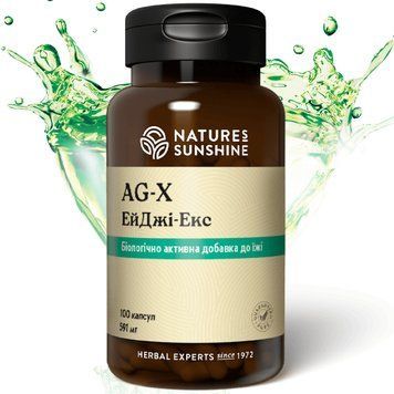 ЭйДжи-Экс НСП (AG-X) NSP Биологически Активная Добавка 1667159325 фото