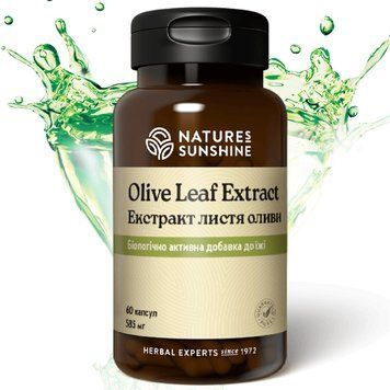 Екстракт листя оливи НСП (Olive Leaf Extract) NSP Біологічно Активна Добавка 1667159313 фото