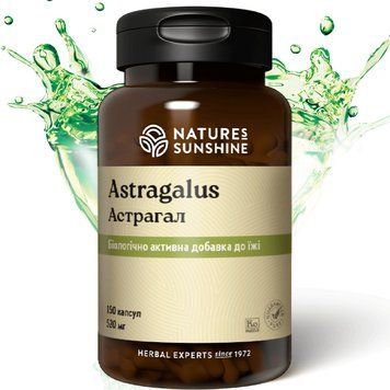 Астрагал НСП (Astragalus) NSP Біологічно Активна Добавка 1667159416 фото
