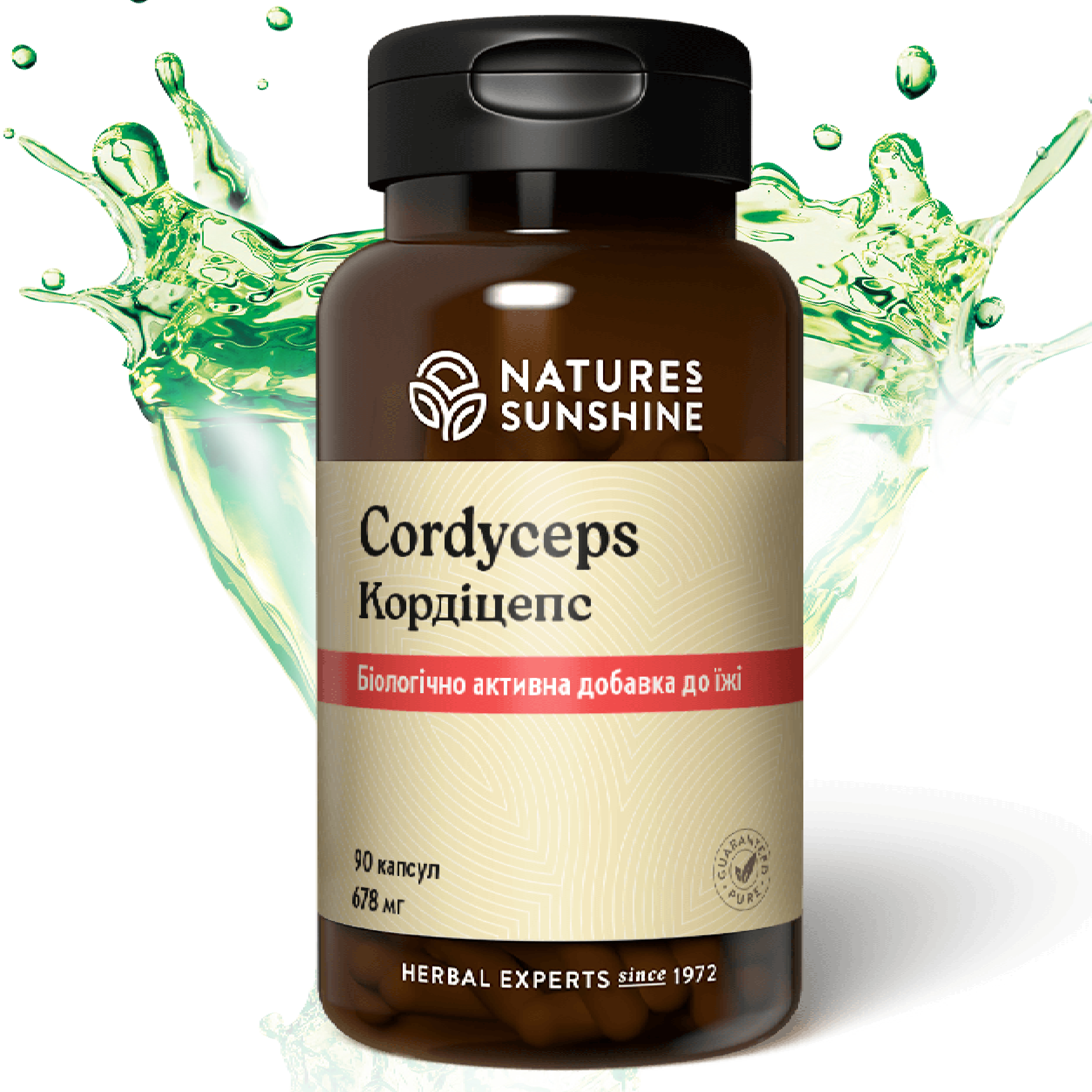 Кордицепс НСП | Cordyceps NSP