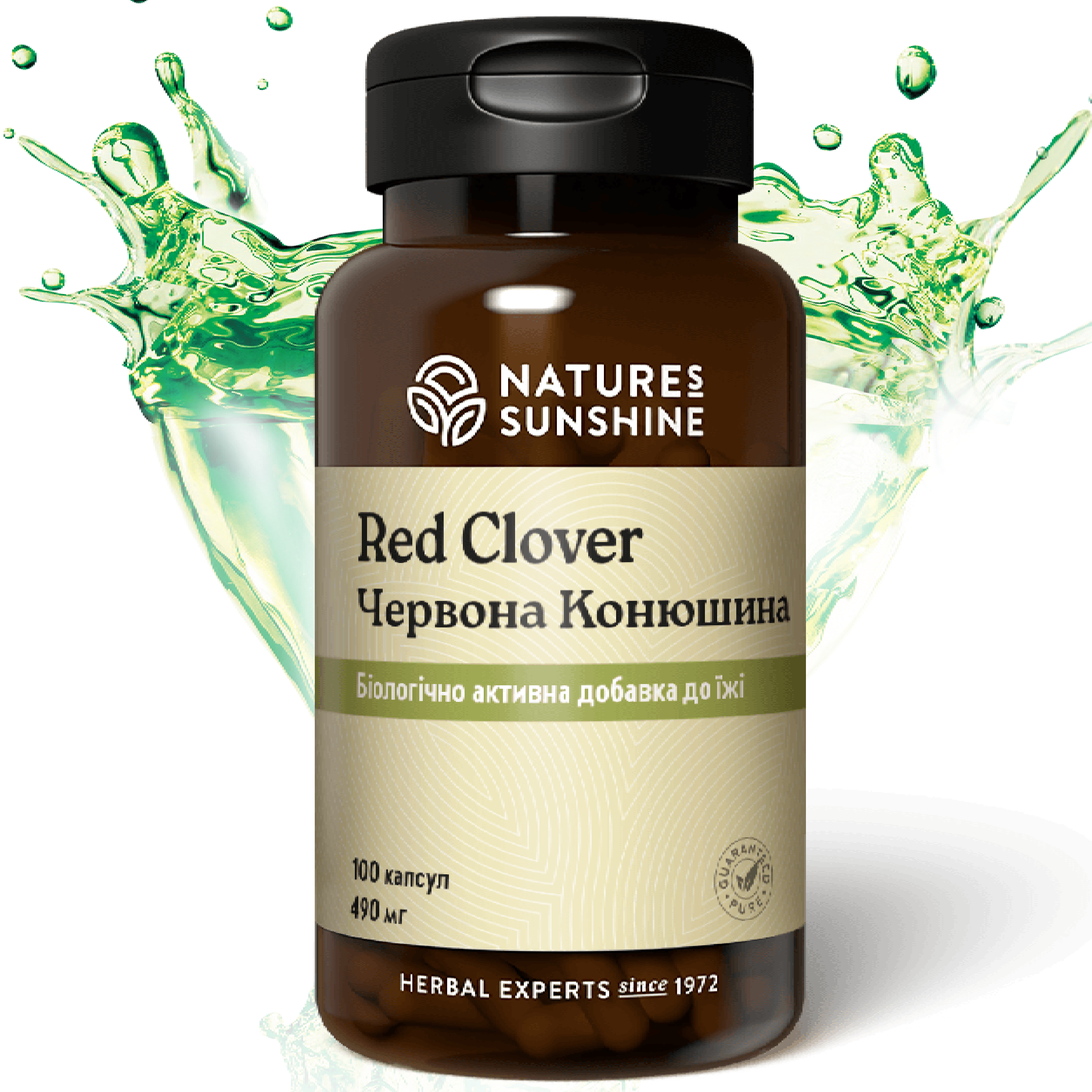 Червона Конюшина НСП | Red Clover NSP — 1