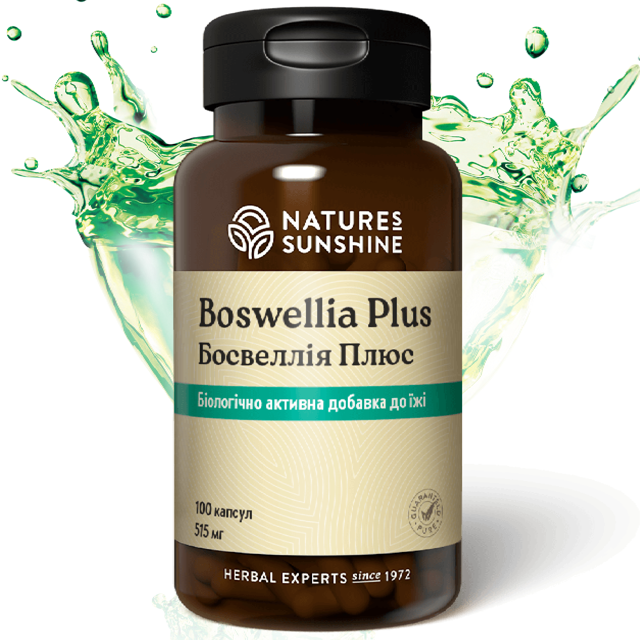 Босвелия Плюс НСП (Boswellia Plus) NSP Биологически Активная Добавка