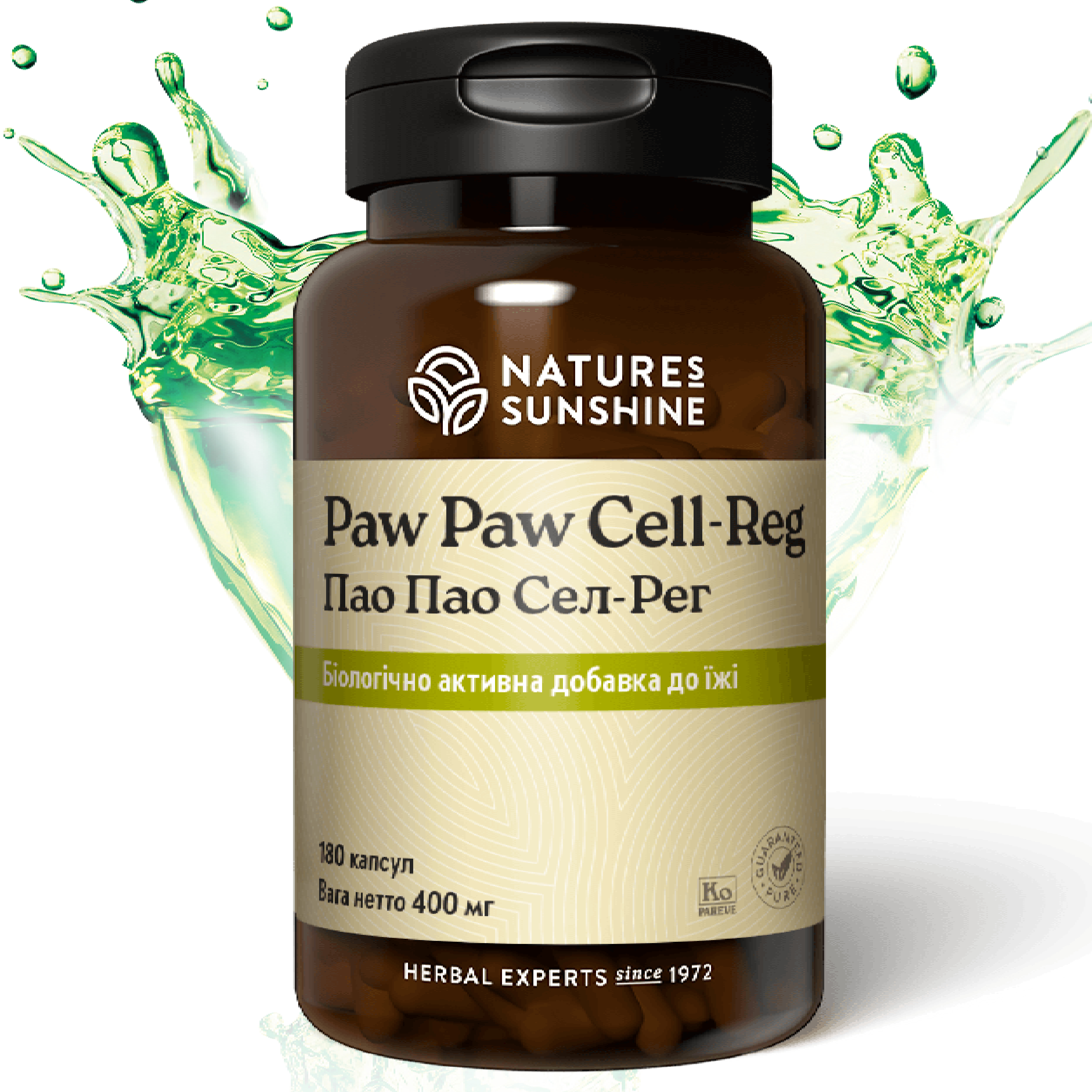 Пао Пао НСП | Paw Paw Cell - Reg NSP