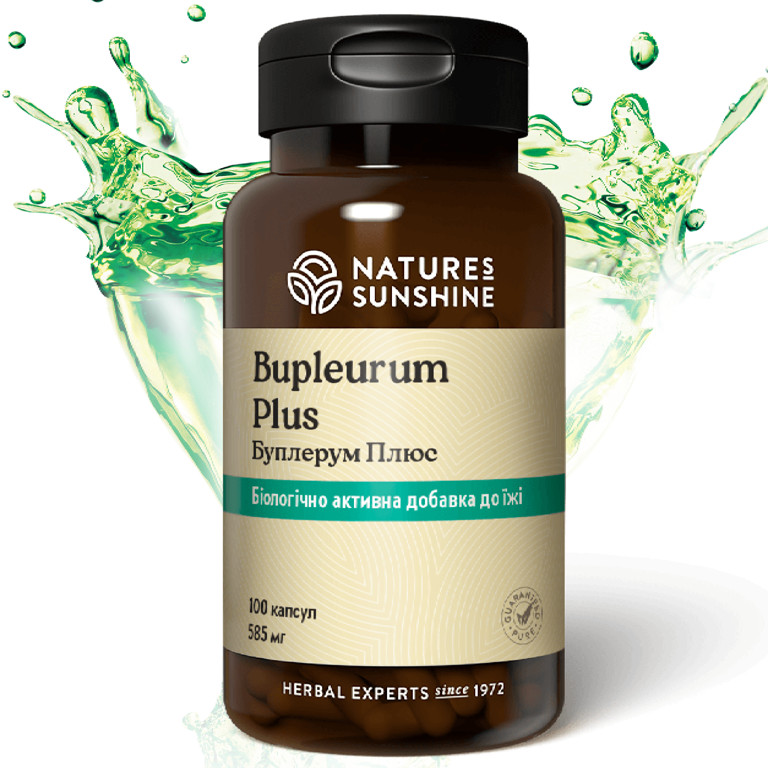 Буплерум Плюс НСП (Bupleurum Plus) NSP Біологічно Активна Добавка — 1
