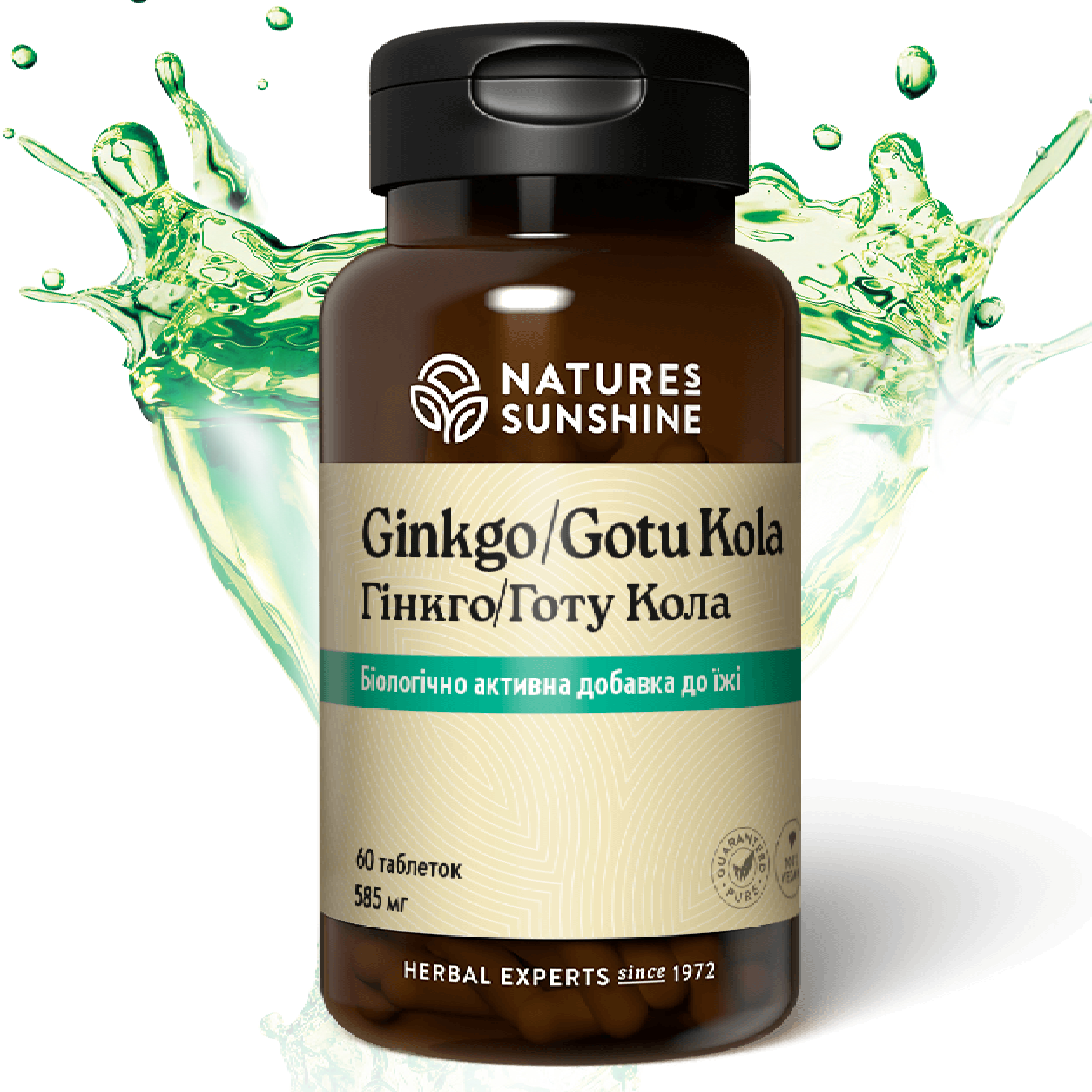 Ginkgo Gotu Kola NSP
