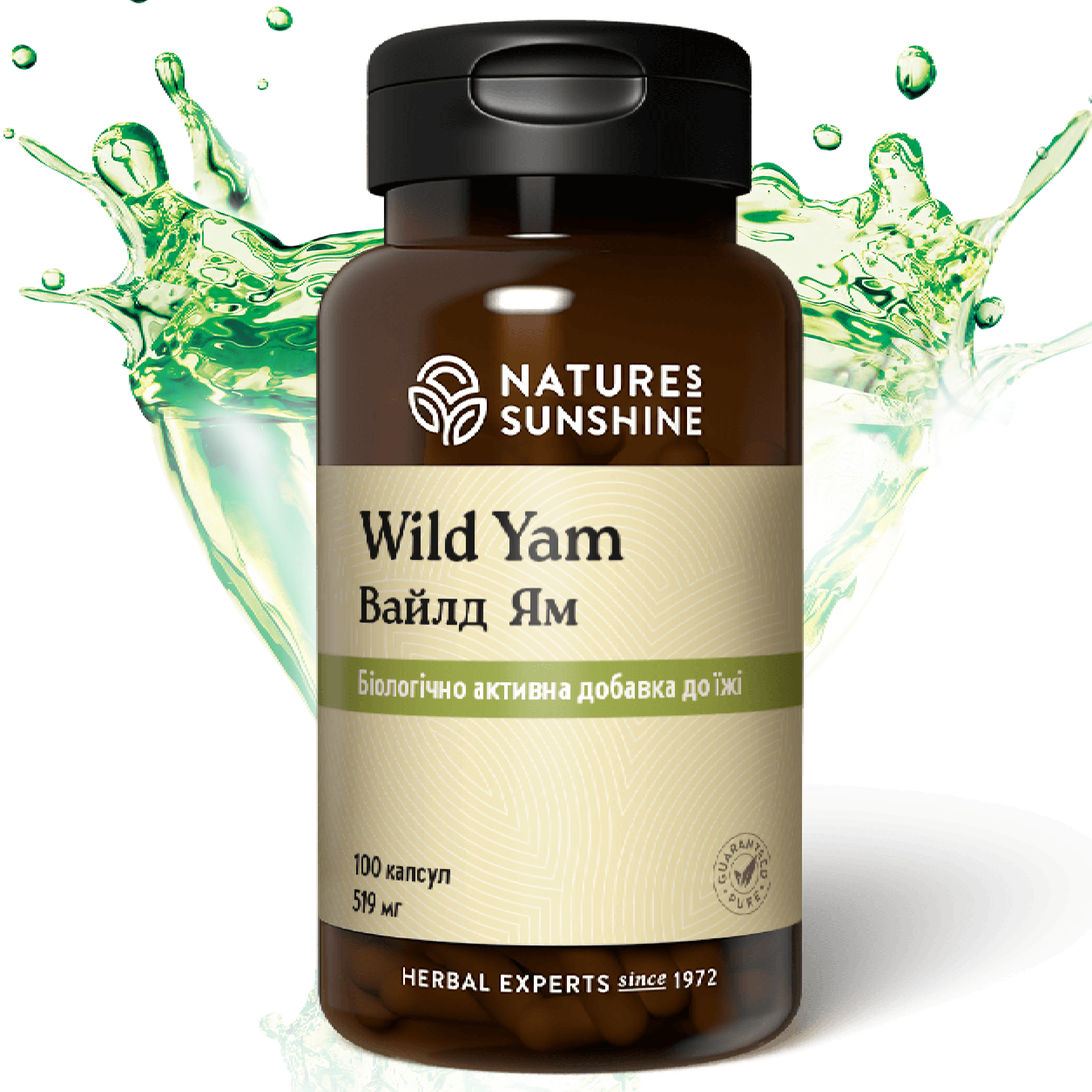 Дикий Ямс НСП | Wild Yam NSP — 1